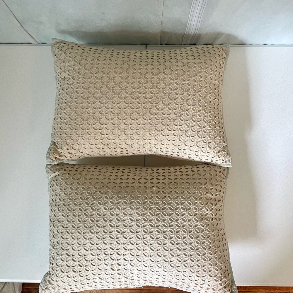 Martha Stewart decor pillows 
15x10 rectangle 
Rustic Eyelet baby blue piping